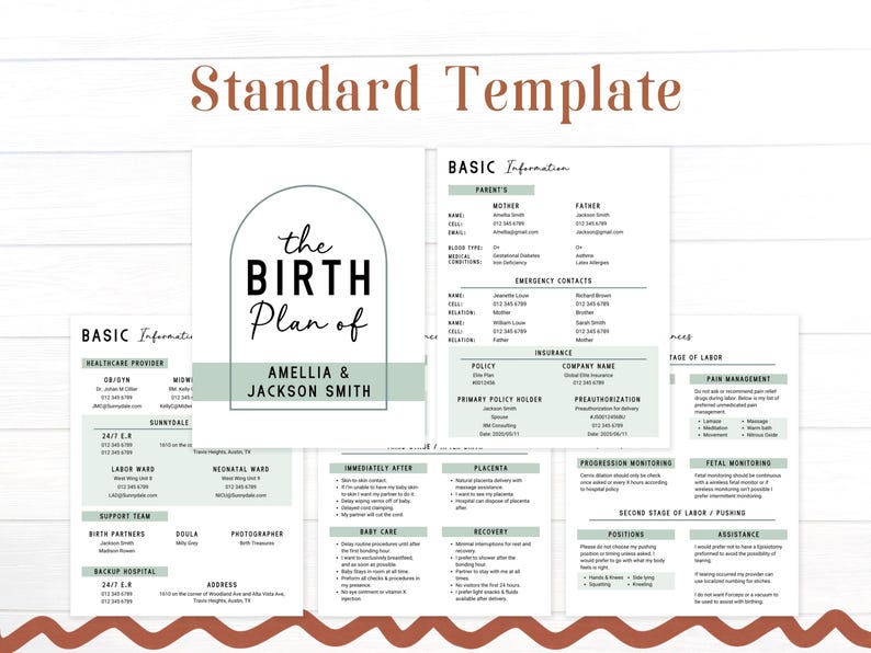 May include: A printable birth plan template with a green and white color scheme. The template includes sections for basic information, healthcare provider, labor and delivery, and postpartum care. The text "the birth plan of Amelia & Jackson Smith" is at the top of the page.