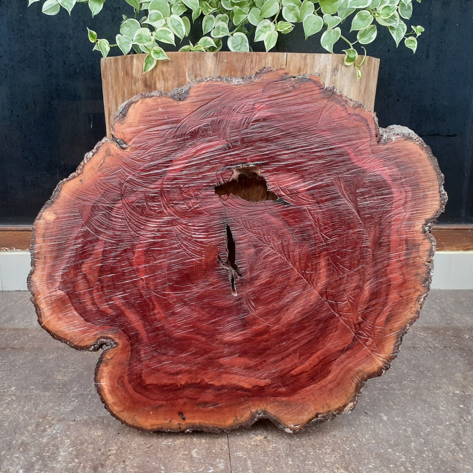 Ceylon Ironwood Slab Live Edge Mesua Ferrea Table Top Etsy