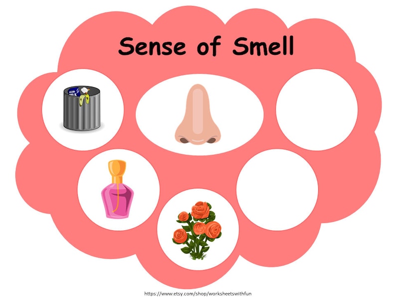 Five Senses Sorting Activity Printable Worksheets Preschool - Etsy ...