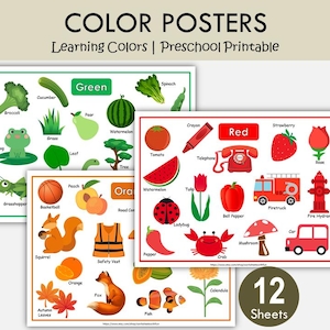 Pósteres de colores para preescolar imprimibles / Decoración del aula / Tarjetas de colores Montessori / Aprendizaje de colores