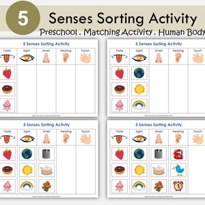 Five Senses Sorting Activity Printable | Preschool Science Center | Sensory Learning Cards for Kids | Homeschool Five Senses Worksheets