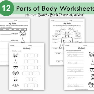 Body Parts Worksheets, Preschool Printable, Kindergarten Human Body Worksheets, All About My Body Activity, Toddlers Busy Binder, Homeschool