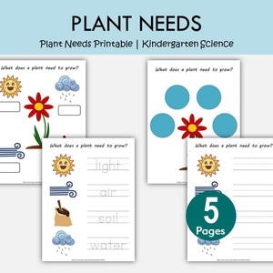 Plant Needs Printable Worksheet Pack, What Plants Need to Grow Activities, Kindergarten Science Worksheets, Plant Unit Homeschool Printables