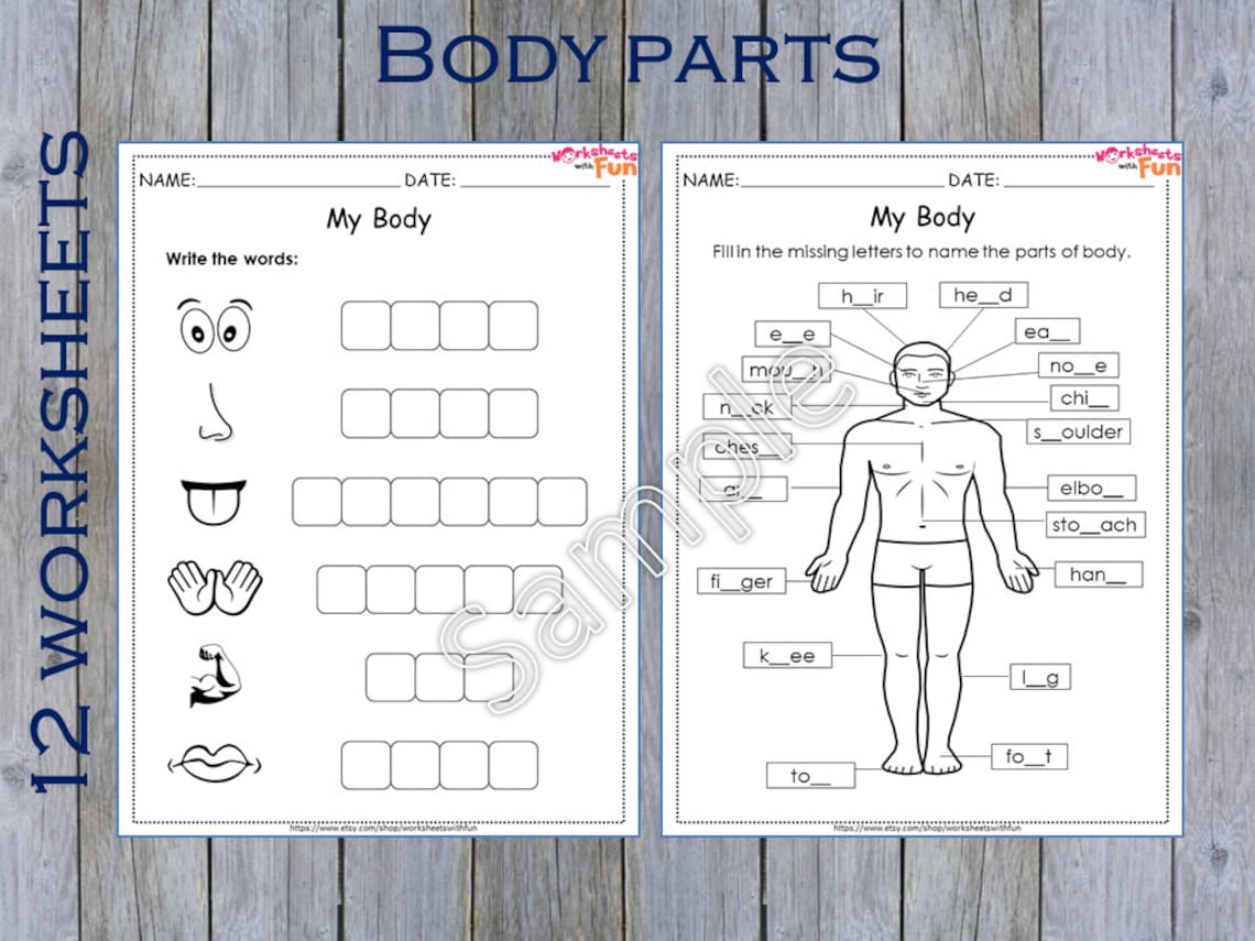 Body Parts Worksheets Preschool Printable Kindergarten Human - Etsy
