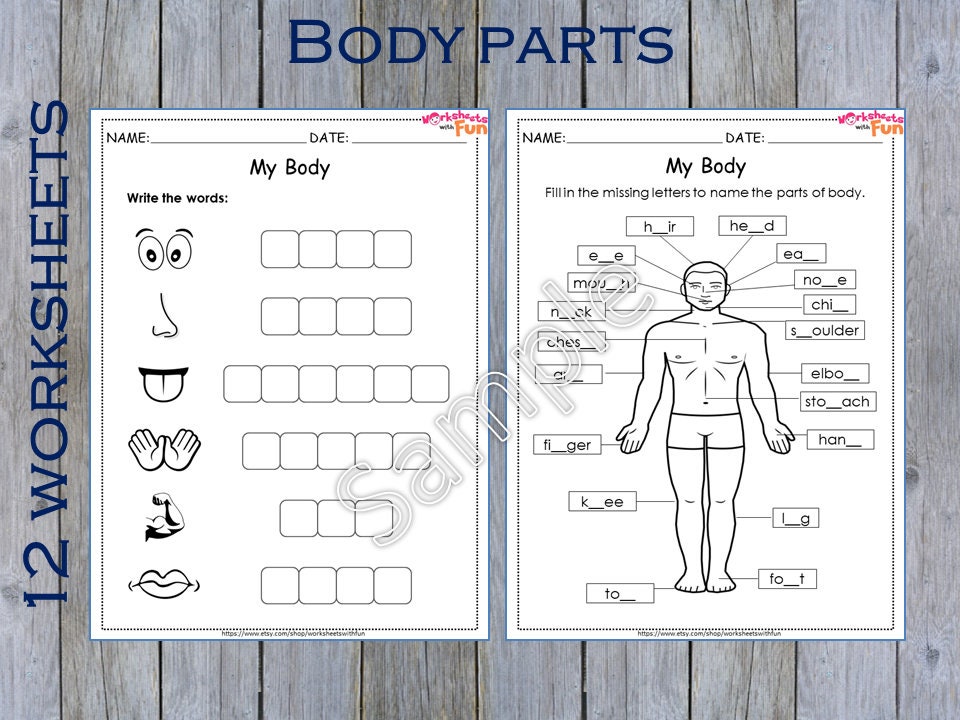 body parts worksheets preschool printable kindergarten human etsy