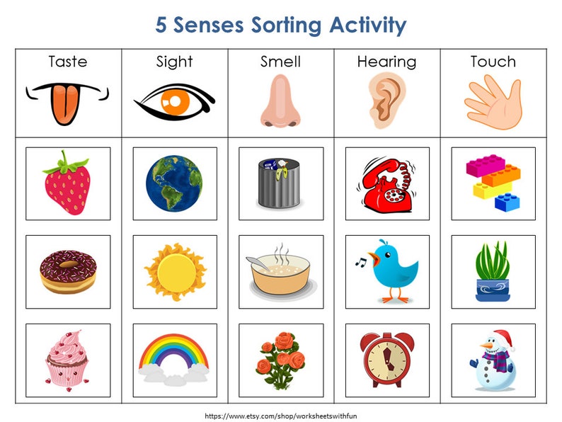 Five Senses Sorting Activity Printable 5 Senses Practice - Etsy Australia