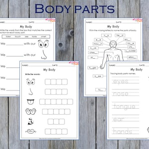 Body Parts Worksheets Preschool Printable Kindergarten Human - Etsy