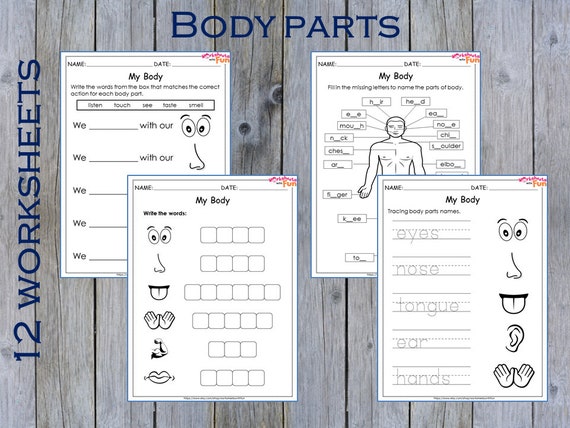 body parts worksheets preschool printable kindergarten human etsy