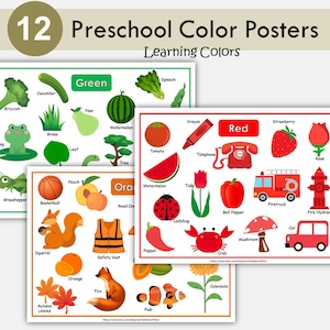 Color del día imprimible para preescolar, currículo preescolar, tarjetas de colores, actividades para niños pequeños, aprendizaje de colores, jardín de infantes, recurso Montessori