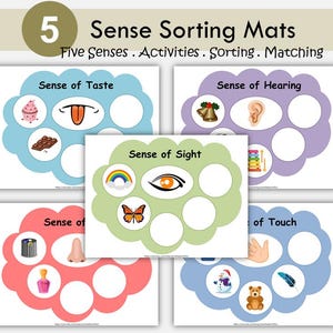 Five Senses Sorting Activity, Senses Matching Worksheet, Toddler Busy Book, Preschool, Kindergarten Human Body Activity Sheets, Homeschool