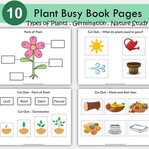 印刷可能な「Plant Busy Book」、ホームスクール学習用（PDFダウンロード）