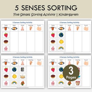May include: Educational printable featuring a "5 Senses Sorting" activity for kindergarten. The worksheets include illustrations for taste, sight, smell, hearing, and touch. The image shows three pages with various objects to sort.