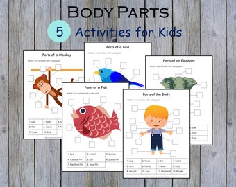 Body Parts Matching Activity Printable, Human Body Parts for Kids, Toddler Busy Book Pages, Learning Binder, Homeschool Resource