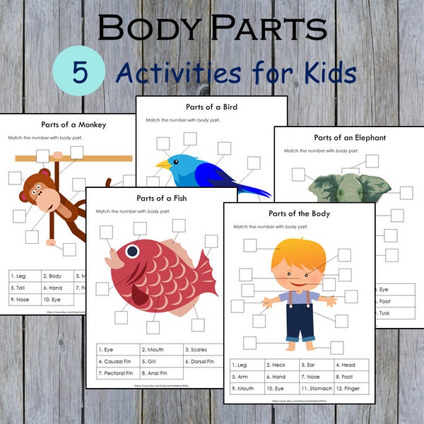 Body Parts Matching Activity Printable, Human Body Parts for Kids, Toddler Busy Book Pages, Learning Binder, Homeschool Resource