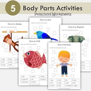 Body Parts Matching Activity Printable, Human Body Parts for Kids, Toddler Busy Book Pages, Learning Binder, Homeschool Resource