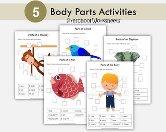 Actividad de emparejamiento de partes del cuerpo: Cuaderno de aprendizaje para niños (Descarga digital)