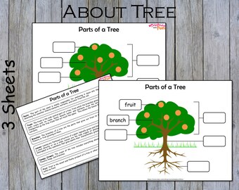 DIGITAL Printable PDF Download to Make Montessori Botany Felt - Etsy