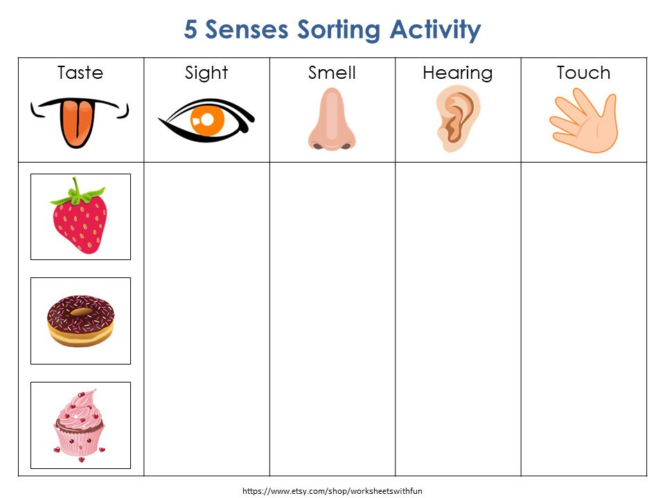 Five Senses Sorting Activity Printable for Preschool Kindergarten ...