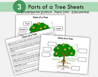 Arbre anatomie imprimable : sciences à la maison, étude de la maternelle (PDF)