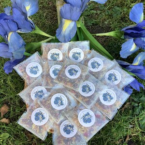 50 bustine blu di coriandoli secchi per matrimonio - 50 bustine biodegradabili di petali di fiori secchi per matrimonio. Tutto nel kit, riempi le bustine.