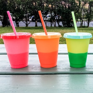 Color Changing Cups 16oz - Set of 5