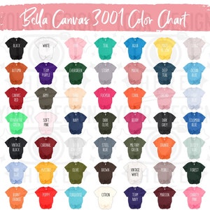 Bella Canvas 3001 Color Chart,Bella Canvas Mockup,Bella Canvas Size Chart,Size Chart,Unisex Size Chart,Color Chart,T Shirt Mockup Size Chart