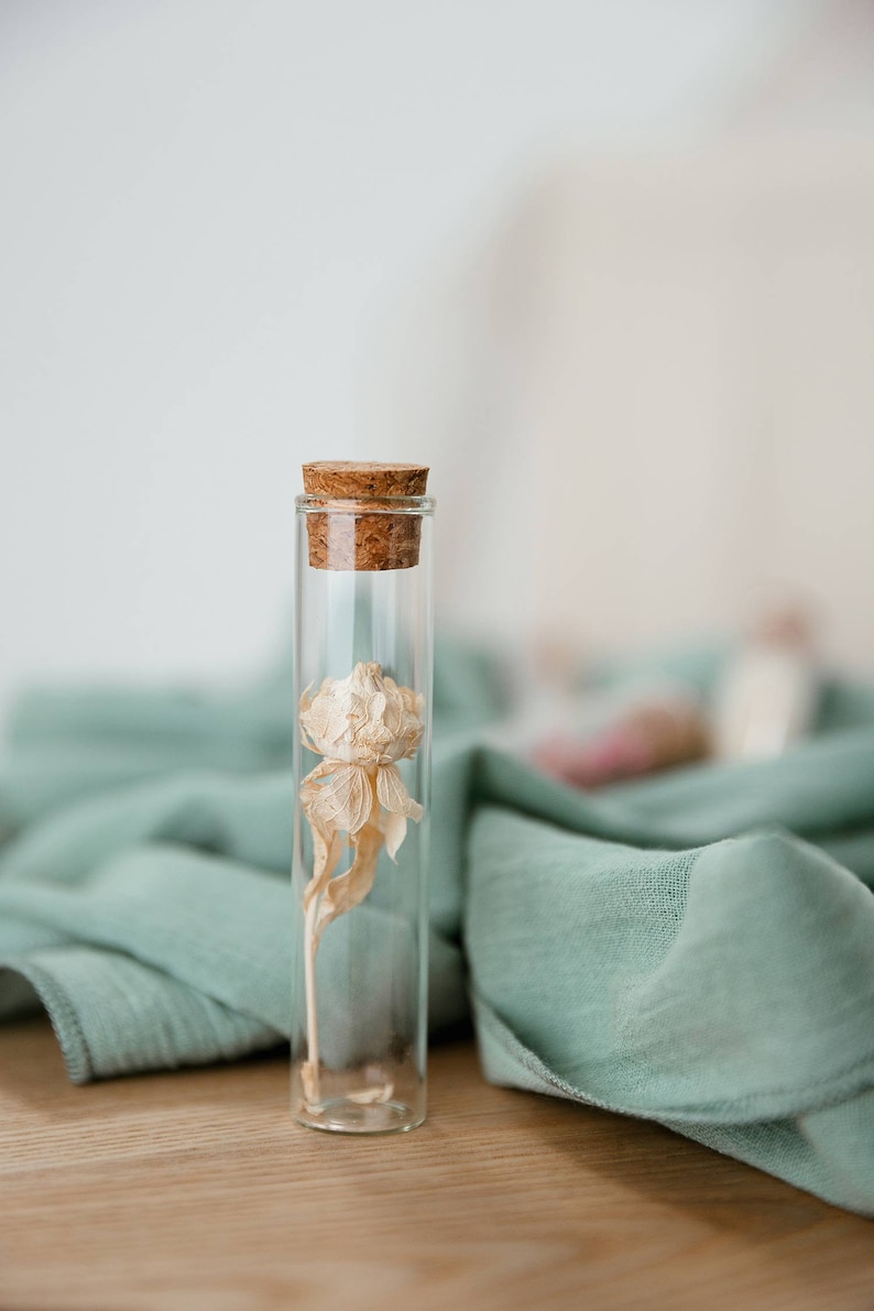 Guest gift: Personalized Dried Flower Vial 10cm Wedding, event, etc. Minimum order 10 image 4