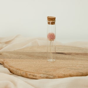 Guest gift: Personalized Dried Flower Vial 10cm Wedding, event, etc. Minimum order 10 image 6