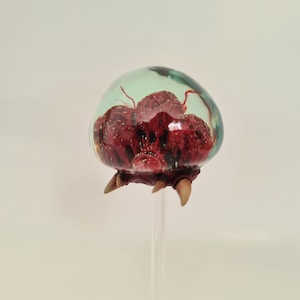 Metroid Phase 3 Figure