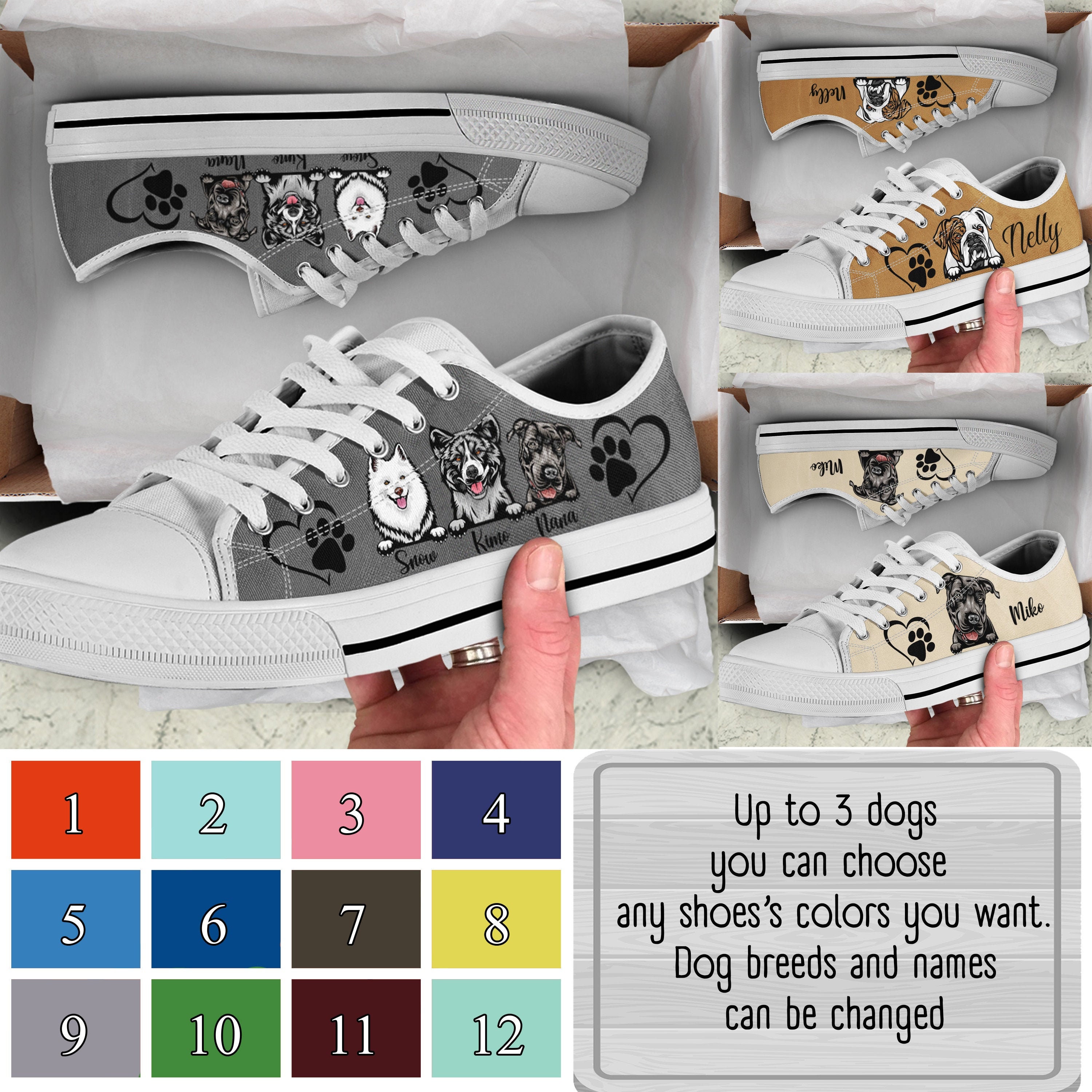 Why Do Dogs Pick Up Shoes