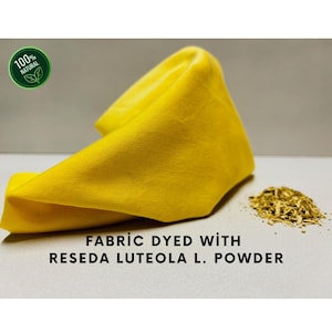 Weld – Natürliche Gelbe Pflanzenfarbe | Reseda Luteola | Umweltfreundliche Farbe für Stoff, Garn & Seide | Botanische Farbe von The Mazi