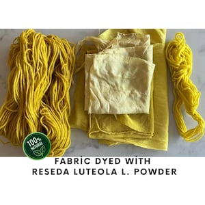 Natural Yellow Dye Powder – Reseda Luteola | Plant-Based Dye for Fabric, Yarn, Silk | Eco Dye for Cotton & Wool