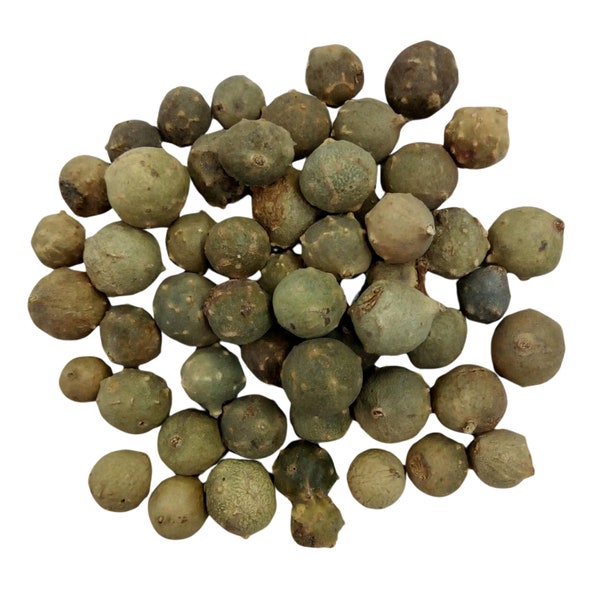 Organic Aleppo Oak Gallnuts for Natural Dyeing, Ink Making, and Leather Tanning, Majuphal phal, Manjakani