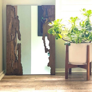 May include: A wooden framed mirror with a unique, natural wood design. The mirror has a light blue tint and is leaning against a wall. A potted plant with green leaves is in the foreground.