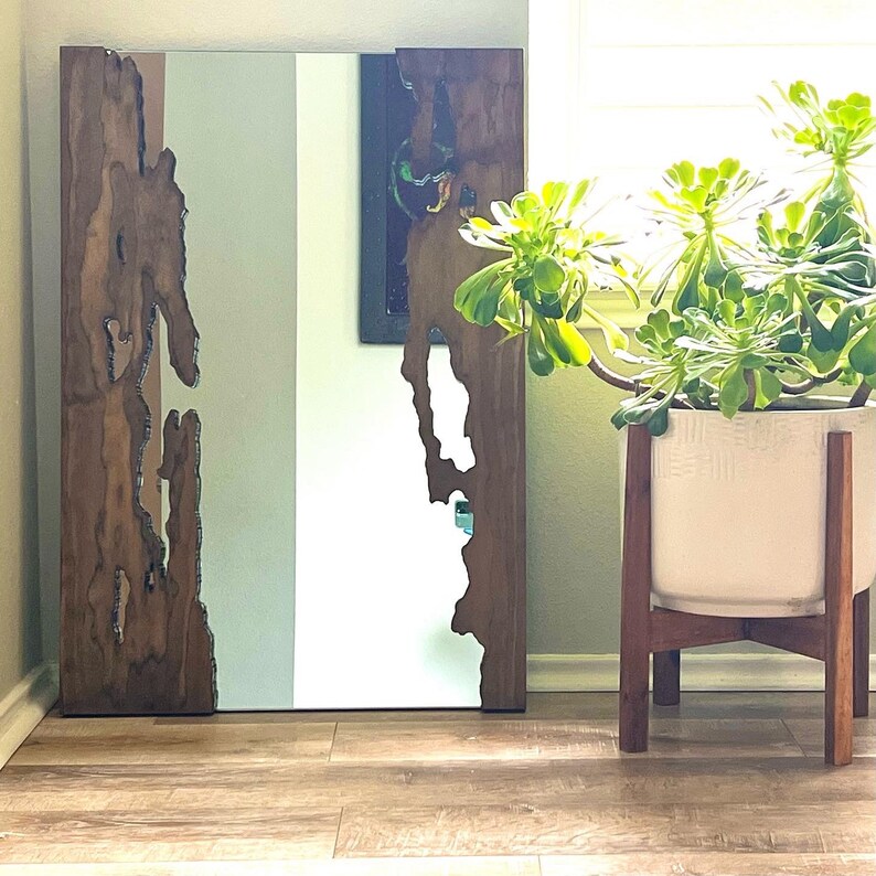 May include: A wooden framed mirror with a unique, natural wood design. The mirror has a light blue tint and is leaning against a wall. A potted plant with green leaves is in the foreground.