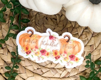 Thanksgiving Stickers, Grateful Thankful Blessed Sticker, Fall Stickers, Pumpkins Decal, Water Bottle Sticker, Laptop Label, Vinyl Sticker