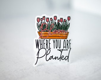 Bloom Where You Are Planted Sticker, Car Decal, Plant Stickers, Spring Sticker, Flower Sticker, Laptop Decal, Motivational Decal, Vinyl