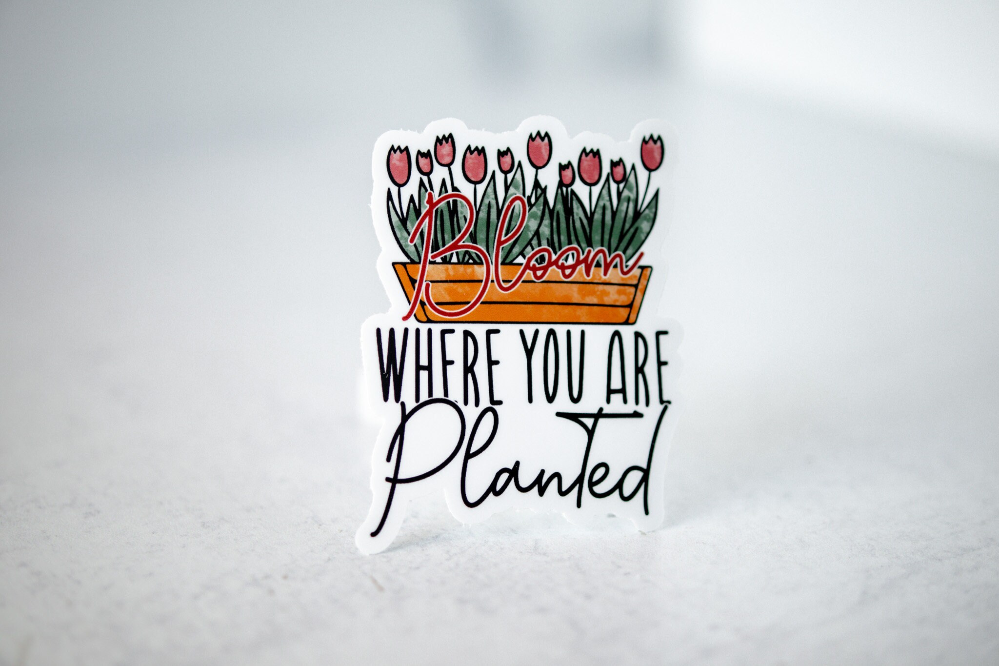 Bloom Where You Are Planted Sticker