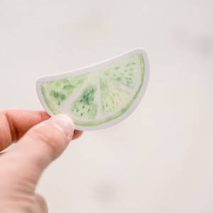 Cute Little Mini Lime Sticker, Food Decal, Journal Sticker, Waterproof Sticker, Fruit Sticker