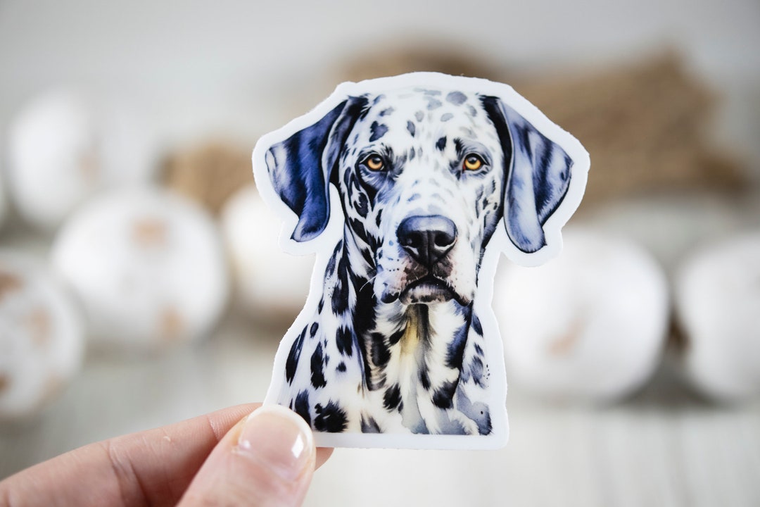 Dalmatian Decal, Animal Lover Sticker, Dog Sticker, Nature Label, Water