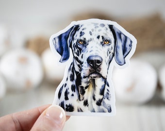 Dalmatian Decal, Animal Lover Sticker, Dog Sticker, Nature Label, Water Bottle Sticker, Mans Best Friend Sticker, Laptop Decal