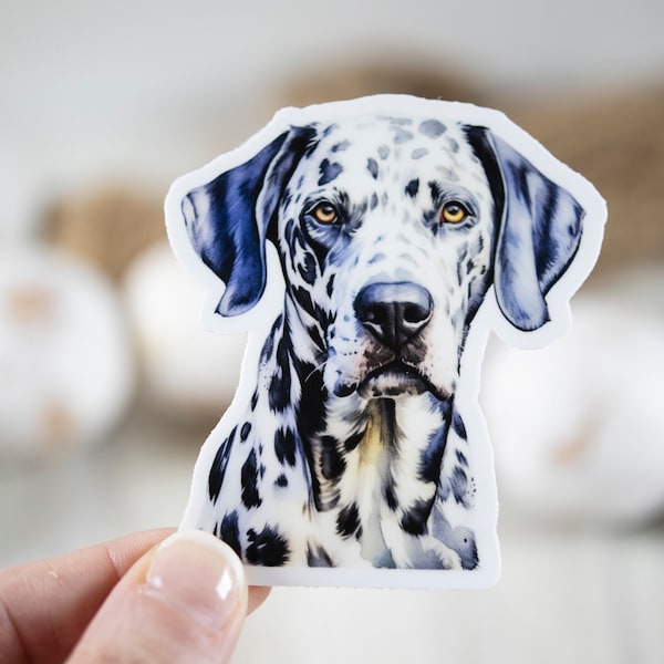 Dalmatian Decal, Animal Lover Sticker, Dog Sticker, Nature Label, Water Bottle Sticker, Mans Best Friend Sticker, Laptop Decal