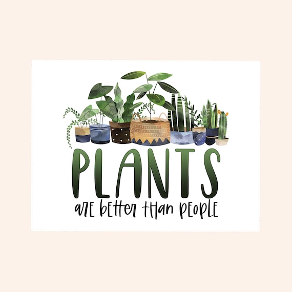 Plants Are Better Than People Sticker Flower Decal Laptop Etsy