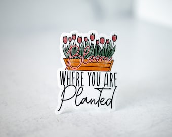 Bloom Where You Are Planted, Motivational Sticker, Floral Decal, Encouraging Sticker, Clear Vinyl Decal, Water Bottle Stickers,Mental Health