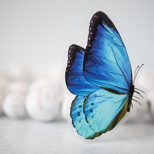 Ceramic Decal, Underglaze Transfer Bird & Butterfly 