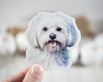 White Maltese Decal, Animal Lover Sticker, Dog Sticker, Nature Label, Water Bottle Sticker, Mans Best Friend Sticker, Laptop Decal