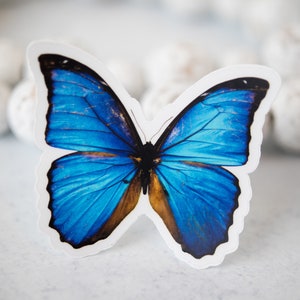 Blue Butterfly Sticker: Waterproof Vinyl Decal for Laptop, Water Bottle