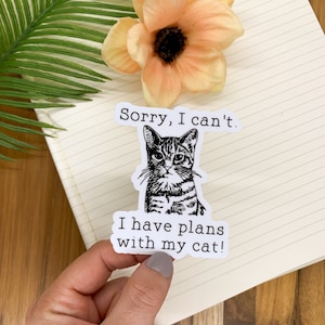 Pegatina de gato, pegatina "Lo siento, tengo planes con mi gato", etiqueta troquelada, calcomanía para mascotas, pegatinas peludas, etiqueta de gato negro, etiqueta de mamá gata, pegatina para niños