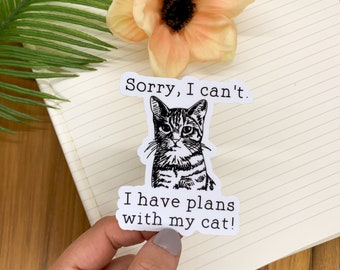 Cat Sticker, Sorry I Have Plans With My Cat Sticker, Die Cut Label, Pet Decal, Furry Stickers, Black Cat Label, Cat Mom Label, Kids Sticker