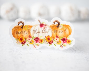 Thanksgiving Stickers, Grateful Thankful Blessed Sticker, Fall Stickers, Pumpkins Decal, Water Bottle Sticker, Laptop Label, Vinyl Sticker